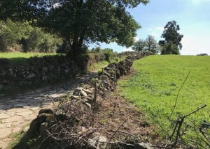 Walking path with rock walls on both sides